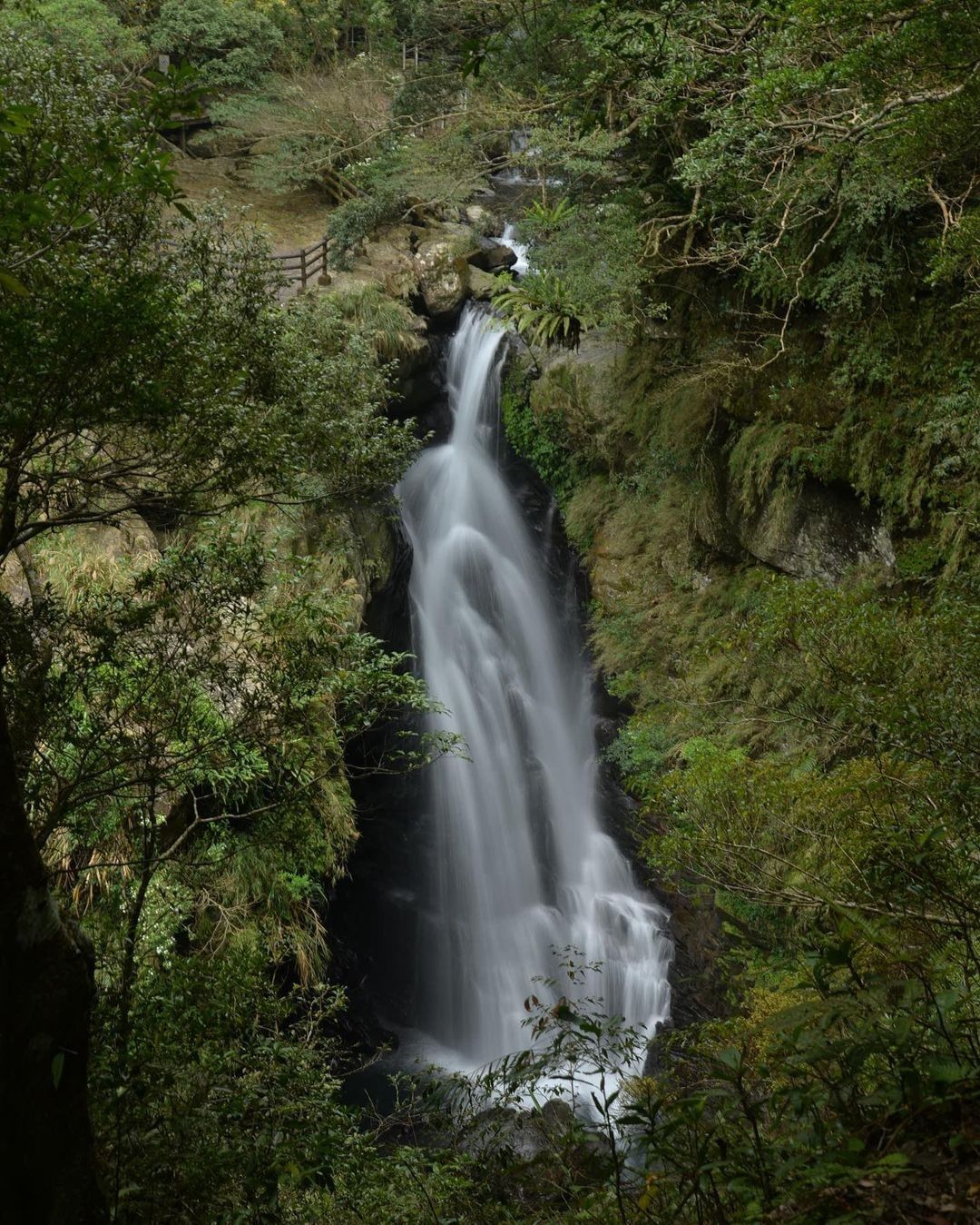 美麗的山林景觀和壯觀的瀑布，還有適合親子參觀和互動的生態館，是一個可以輕鬆散心，也可以健行運動的戶外景點。