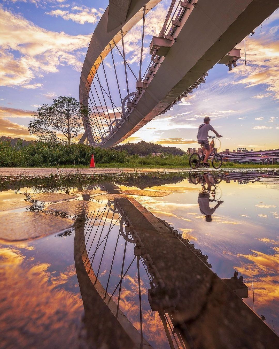 琴弦般的鋼索及五個拱圈支撐橋面，凸顯現代設計感，在黃昏後襯著夕陽落日餘暉天空的背景，橋上閃耀閃動瑰麗的色彩，每一次變色，彷彿彈奏著琴弦般，美極了！