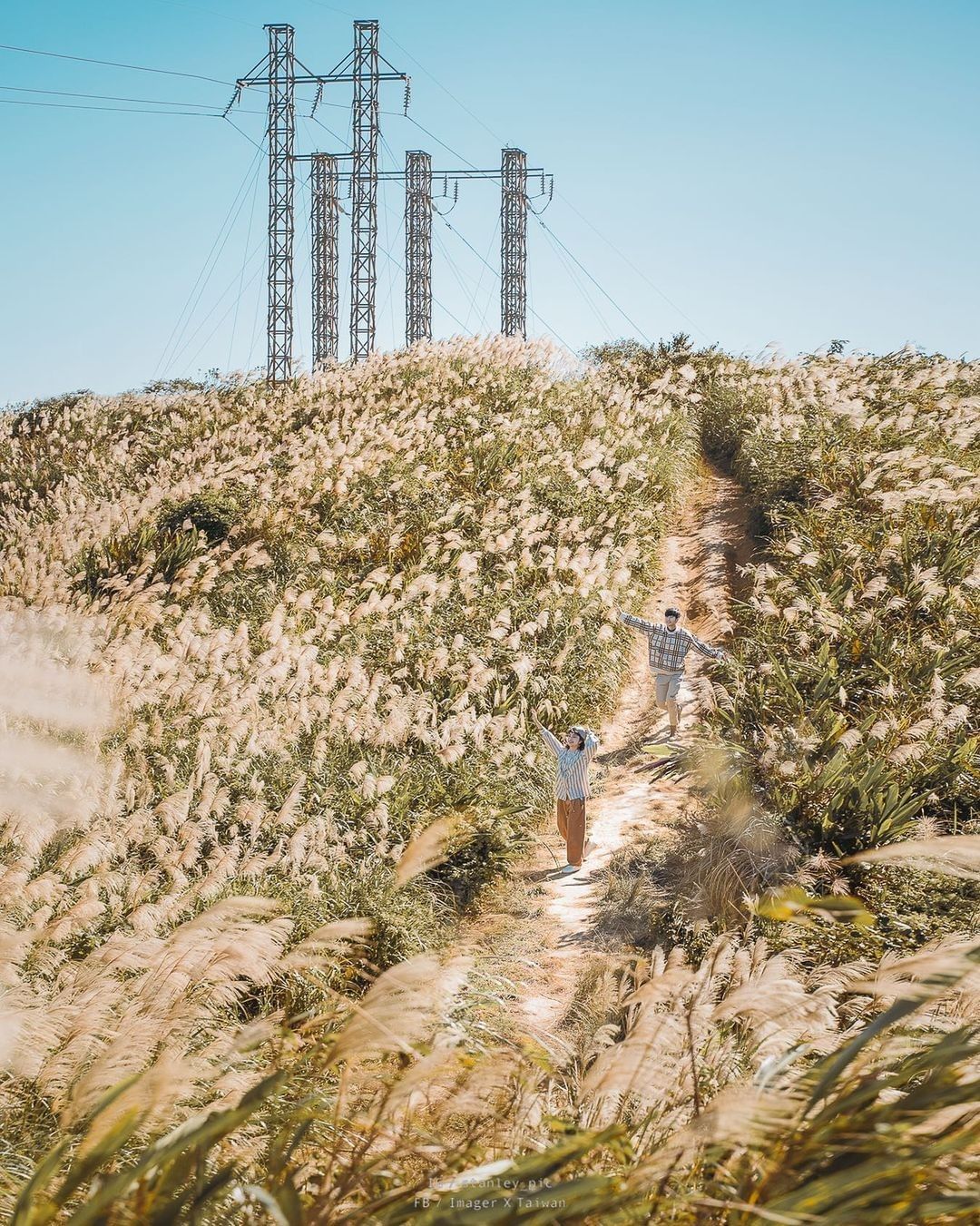 每年秋冬之際都被浪漫雪白芒草包覆著，鑽進芒花步道裡取景，在視野絕佳之處眺望台北城，順遊木棧道、青龍嶺，健行也能一覽冬季限定的美景！