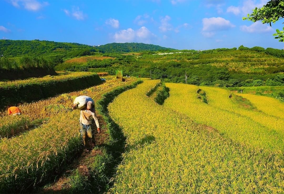 蜿蜒的梯田地景加上公路以及河流交錯其間,構築出了幾何圖形般的美麗風景,無論站在哪一個角度,都可以觀賞到不同的風景!