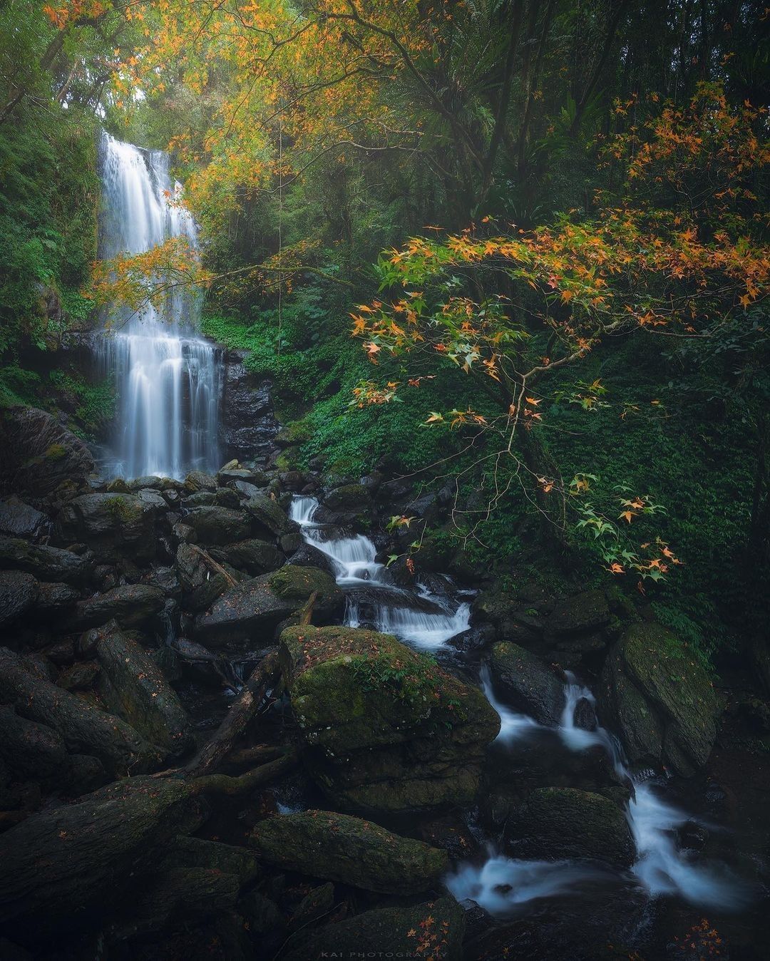 不用出國就可以欣賞楓林如火的絕美景色！