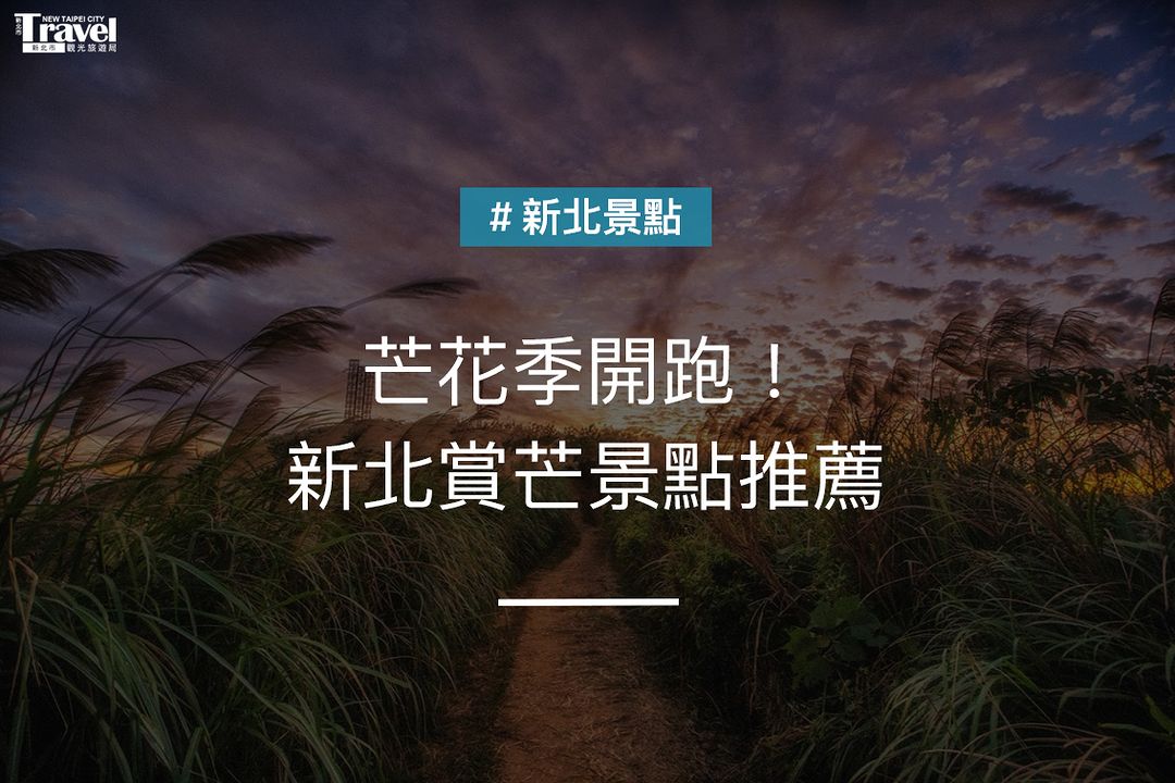 芒花開啦新北三大賞芒點