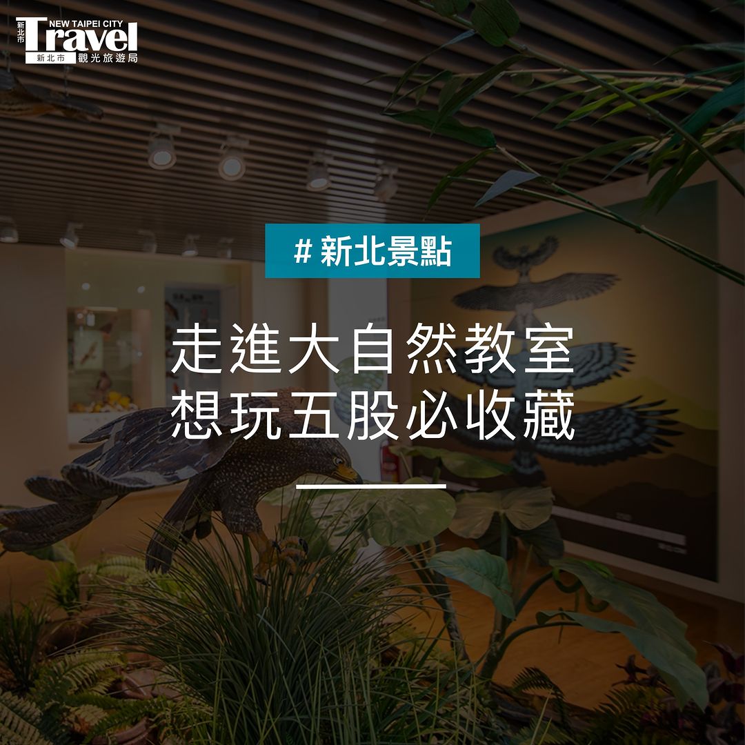 五股小清新景點可以這樣玩～