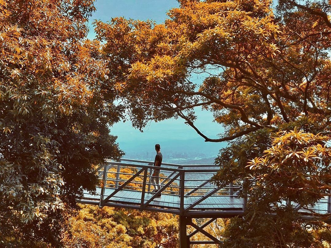 綠意森林的天空步道，步道平緩全長約 800 公尺，有樹蔭遮蔽陽光，適合親子同遊！