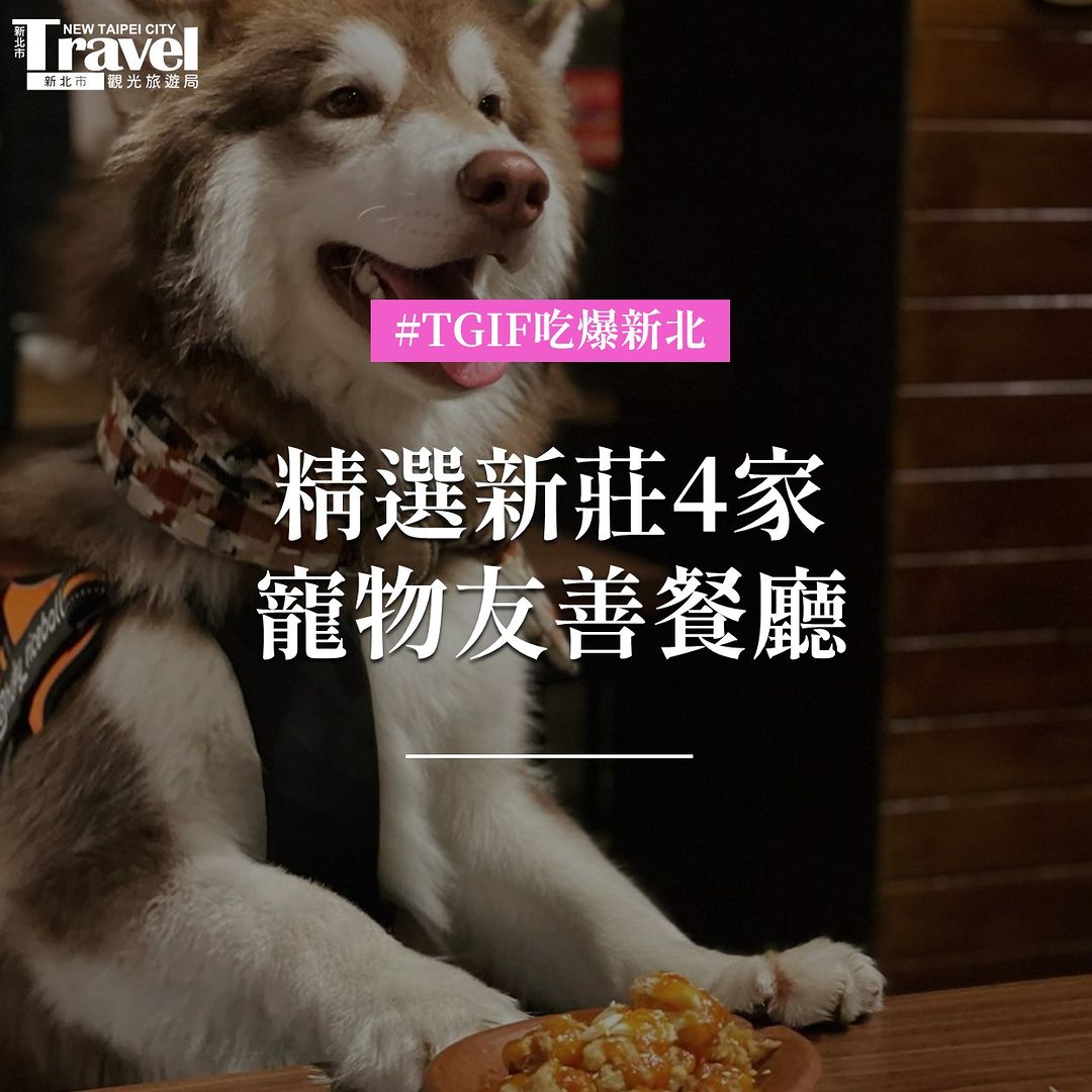 #新莊寵物友善餐廳 毛爸毛媽的福音