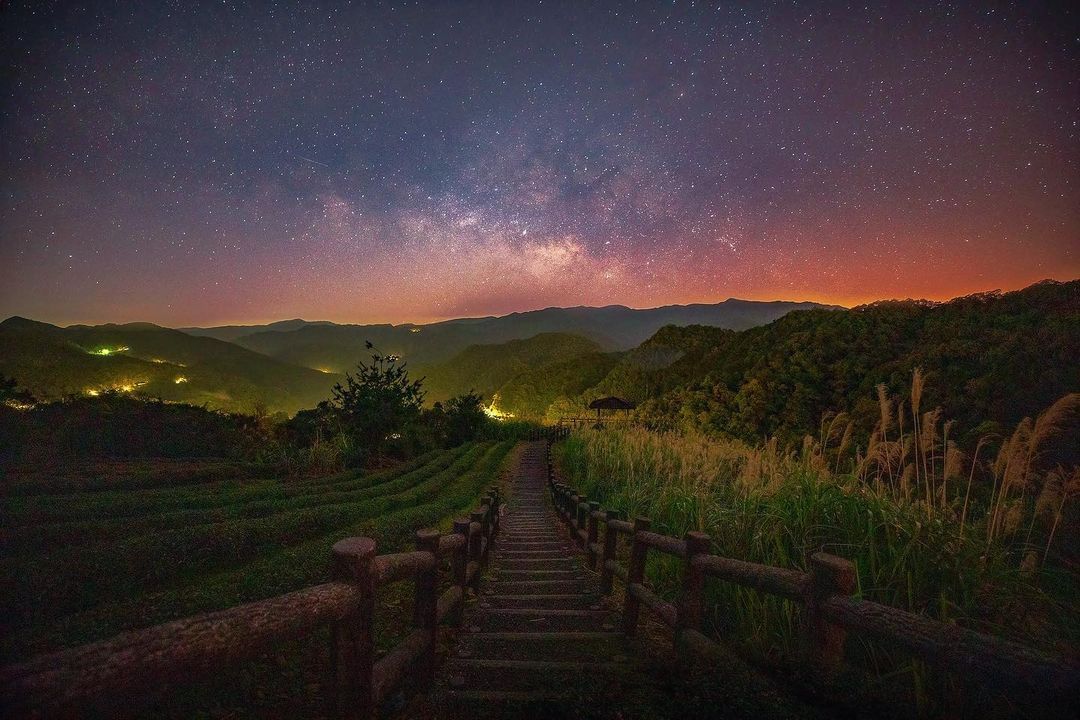 璀璨夜空搭配茶園