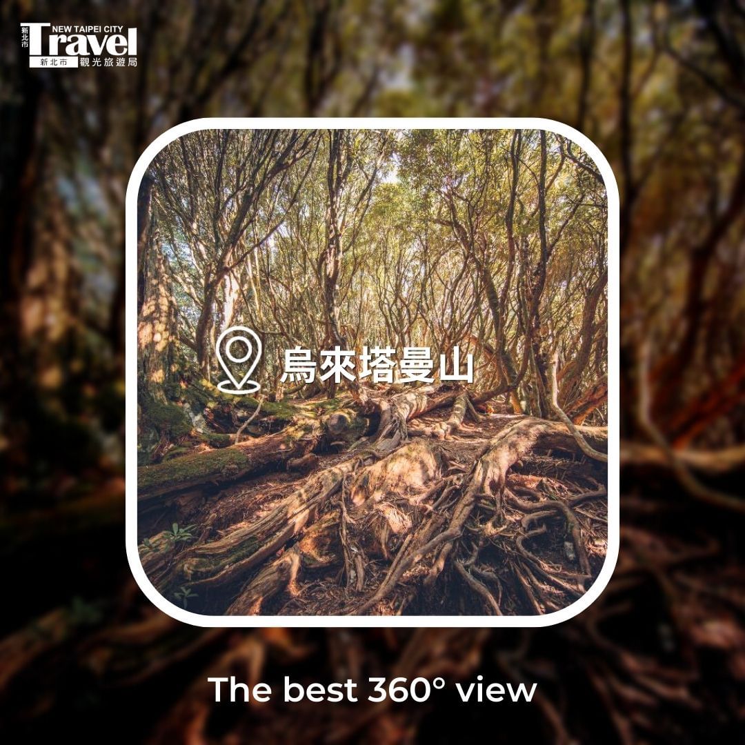 烏來塔曼山海拔2130公尺是新北第一高峰，可通往拉拉山、連接福巴越嶺古道，也是登山界封為中級山，經典夢幻路線之一！