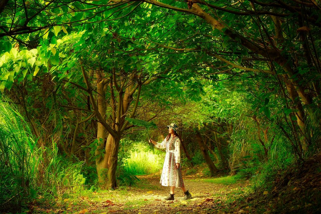 新北也有「吉卜力森林」！靜謐美景成為隱藏版打卡點！隨便拍都超美～