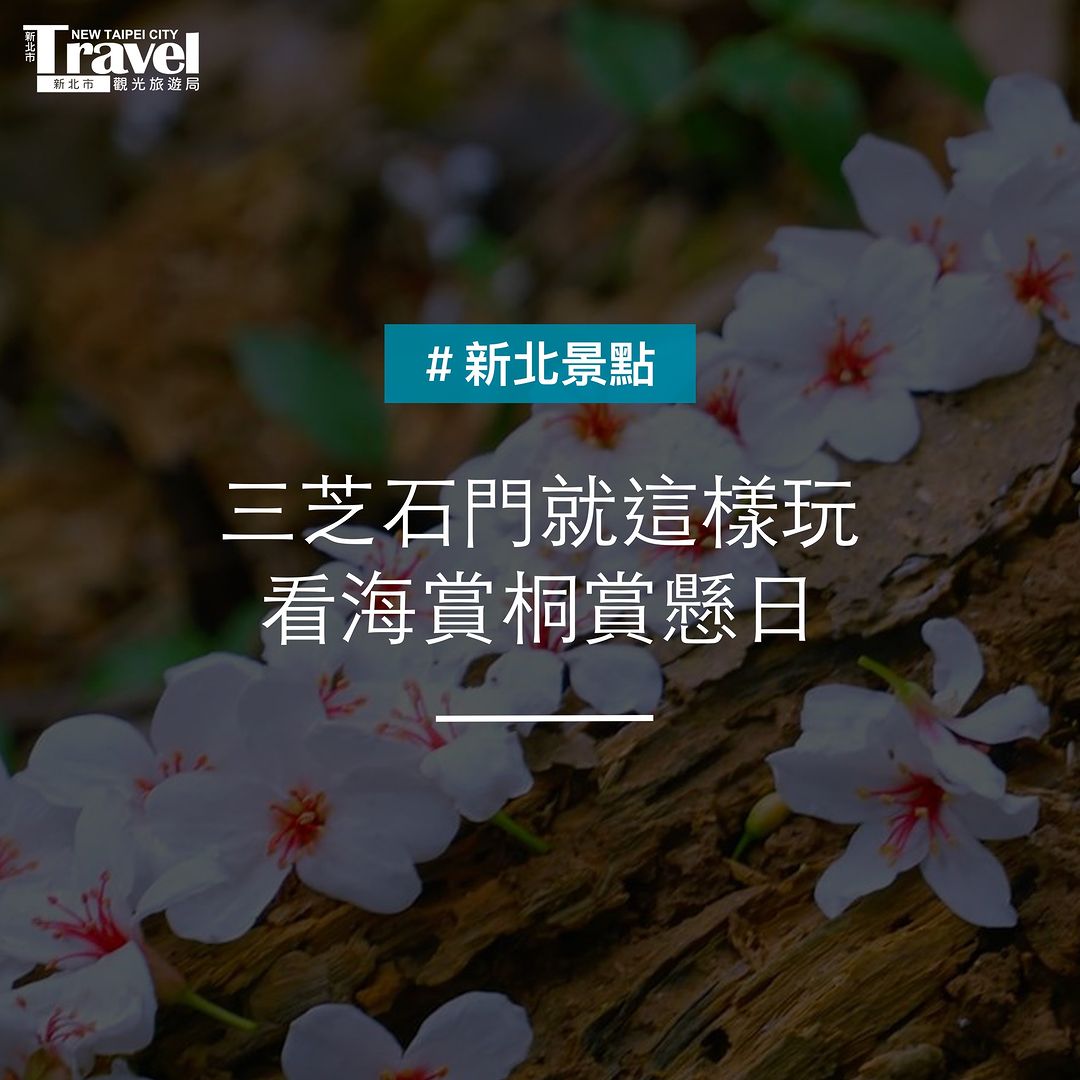 來新北看海+賞桐+賞懸日,三個願望一次滿足!