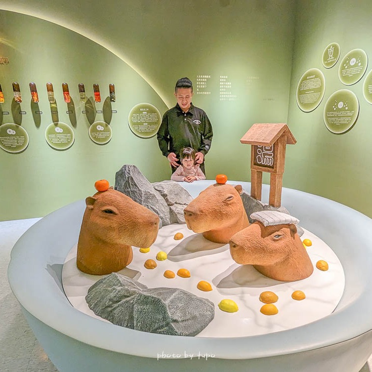 #坪林茶業博物館 全新場景好玩又好拍！