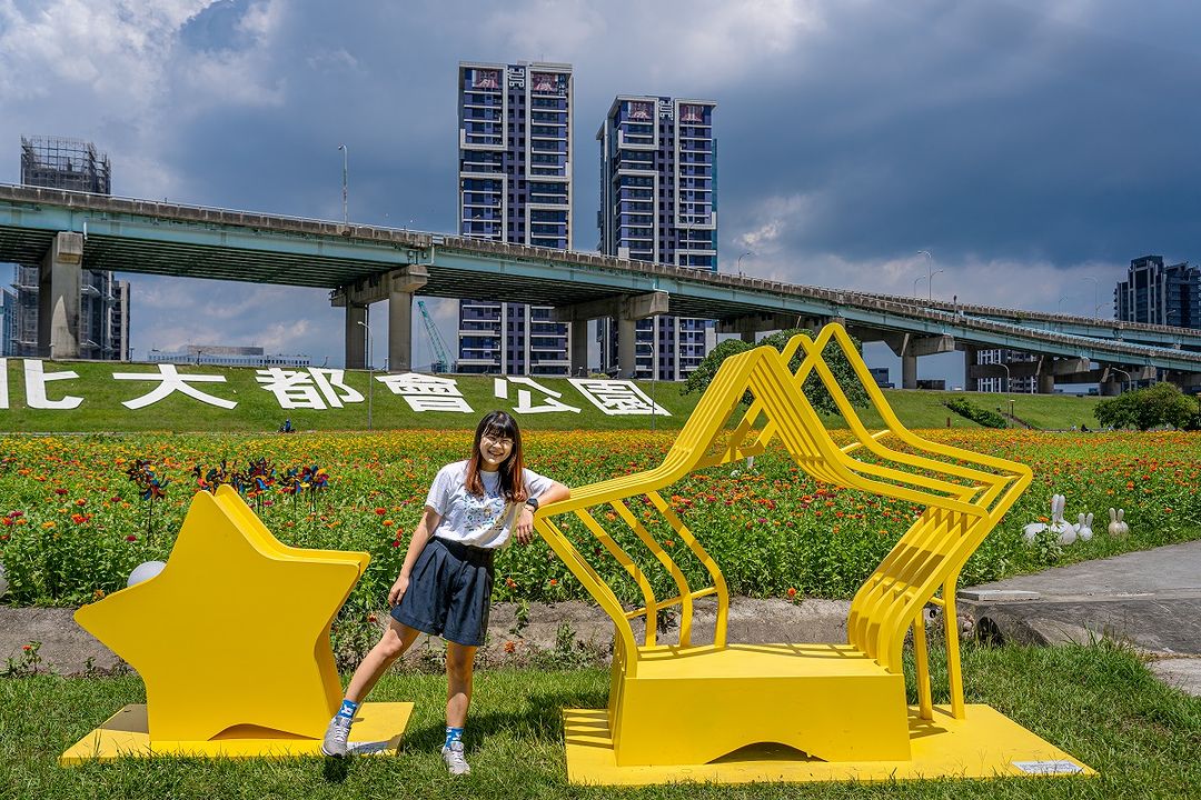 #百日草 盛開了