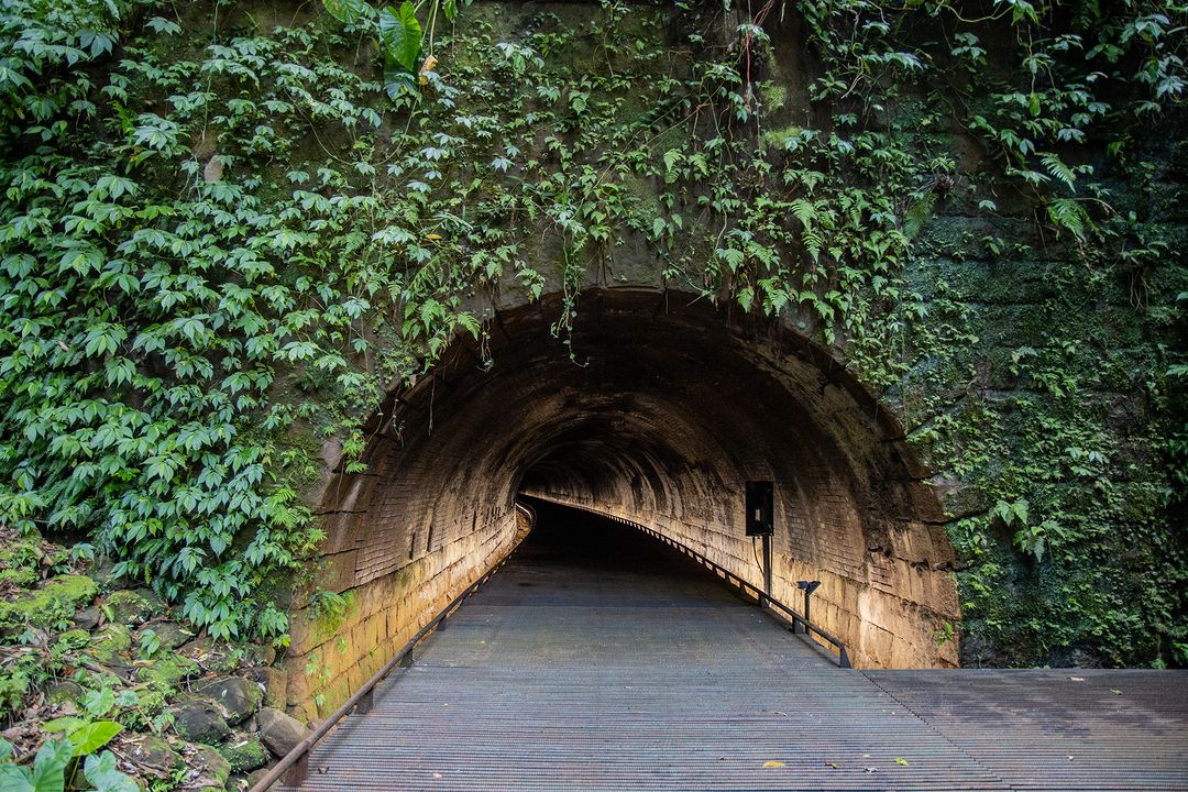 #三貂嶺生態友善隧道 8/29起採全面預約制