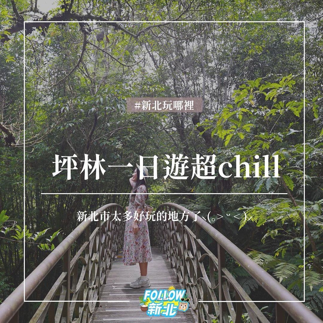 天氣轉涼啦！ 周末就跟家人伴侶來個坪林一日遊