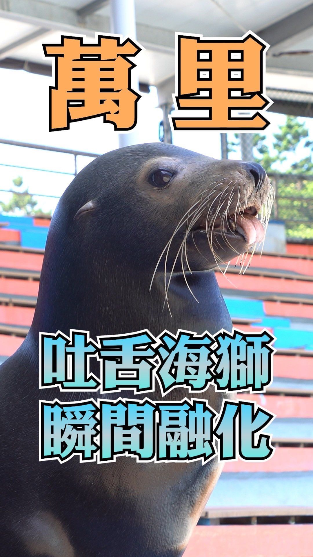 說到萬里只有想到女王頭就太遜了