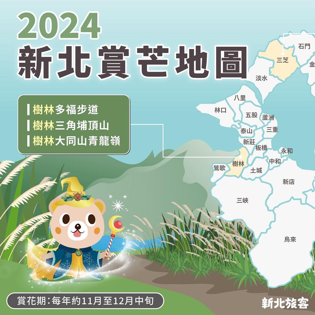 #2024新北賞芒地圖 來啦