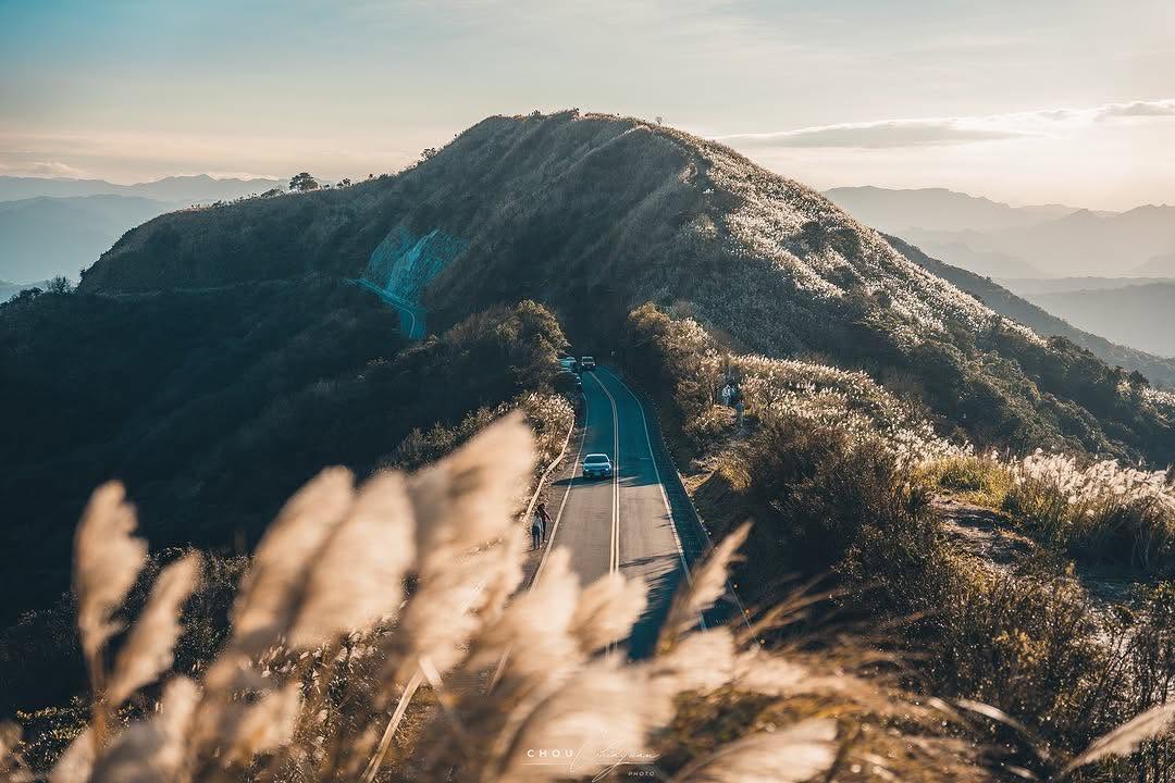 秋冬時節、美麗的芒草季才有的不厭亭景觀 今年各地的芒草受颱風影響，幾乎不見蹤影～這是相當珍貴的風景！