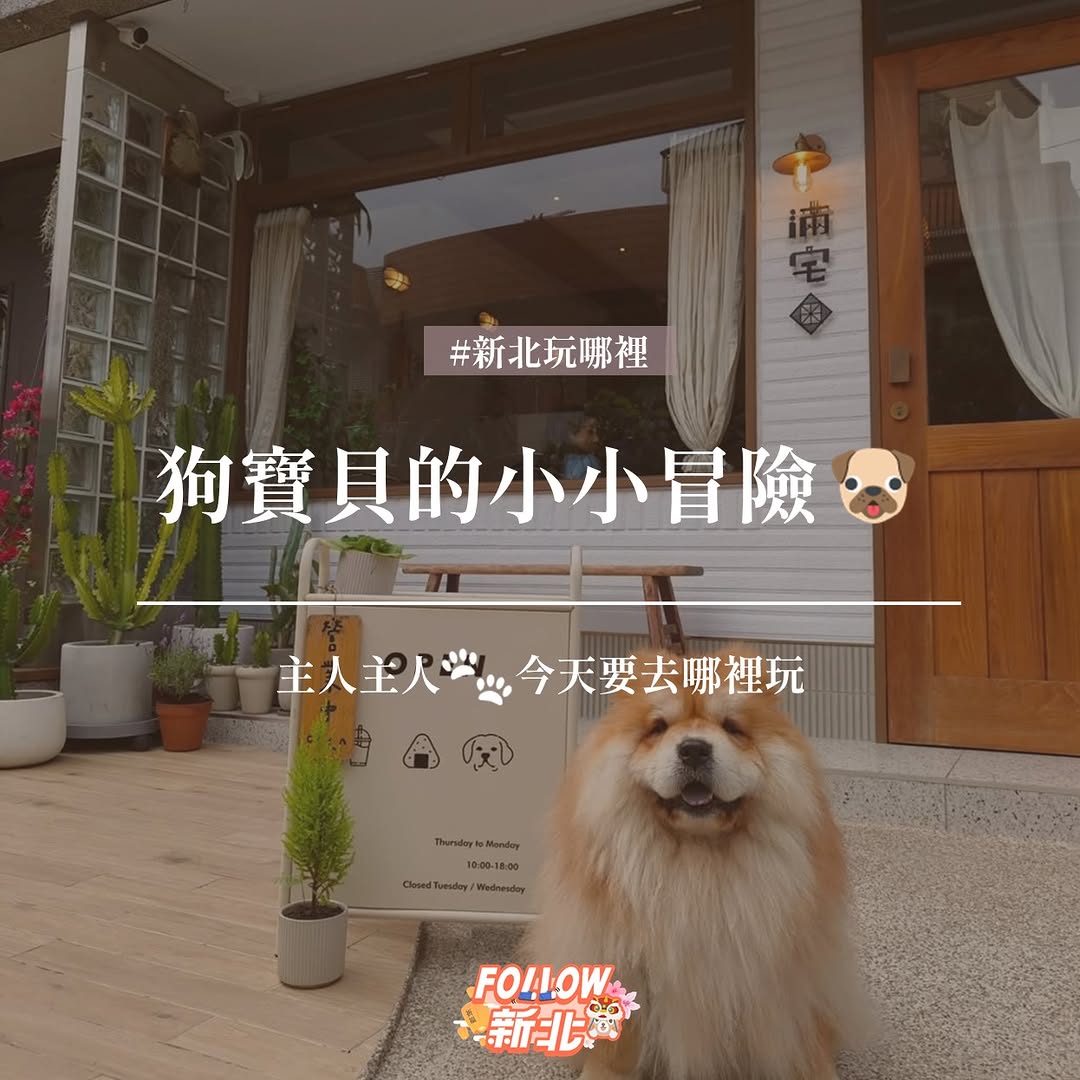 主人主人今天要去哪裡趴趴走