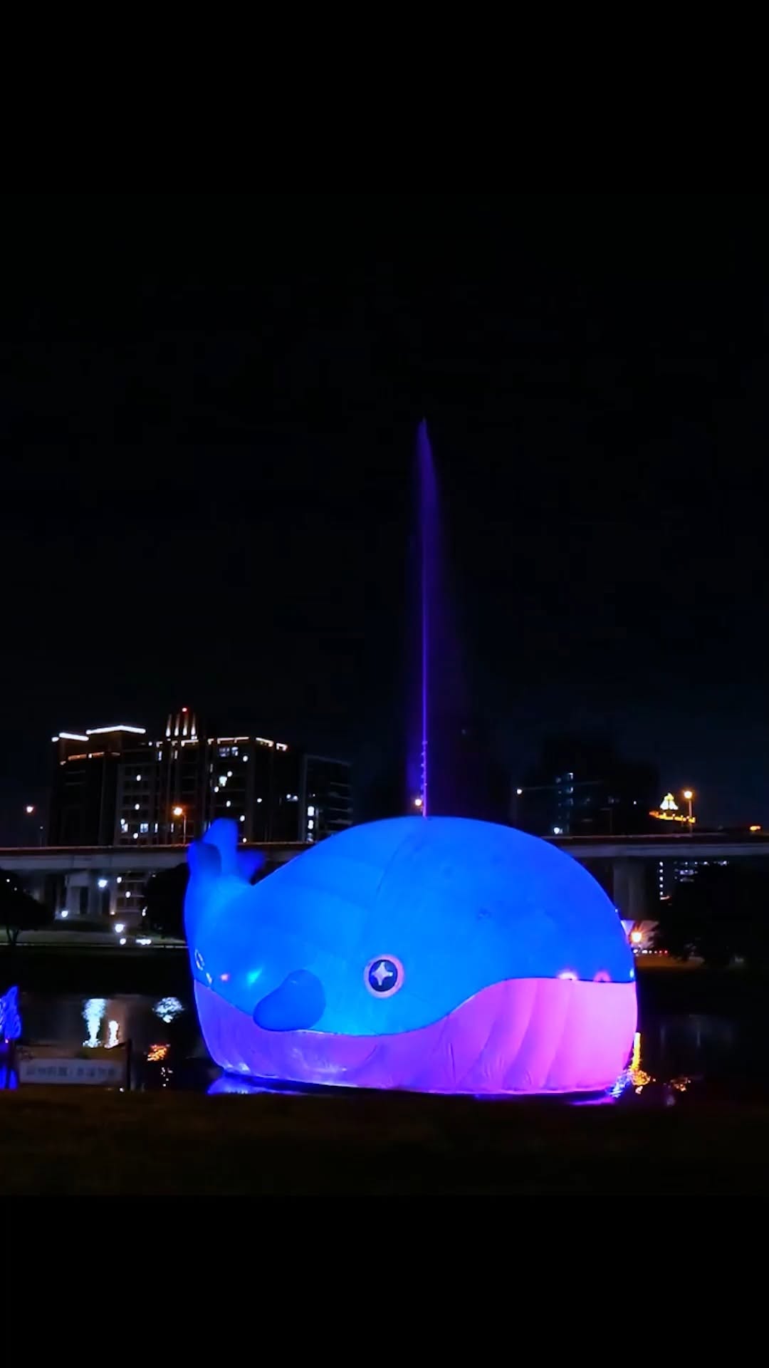 #粉嘻鯨等你 #新北大都會公園 