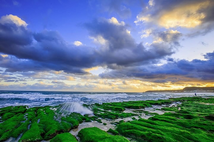 這時候（清明節前後）#老梅綠石槽 最美！