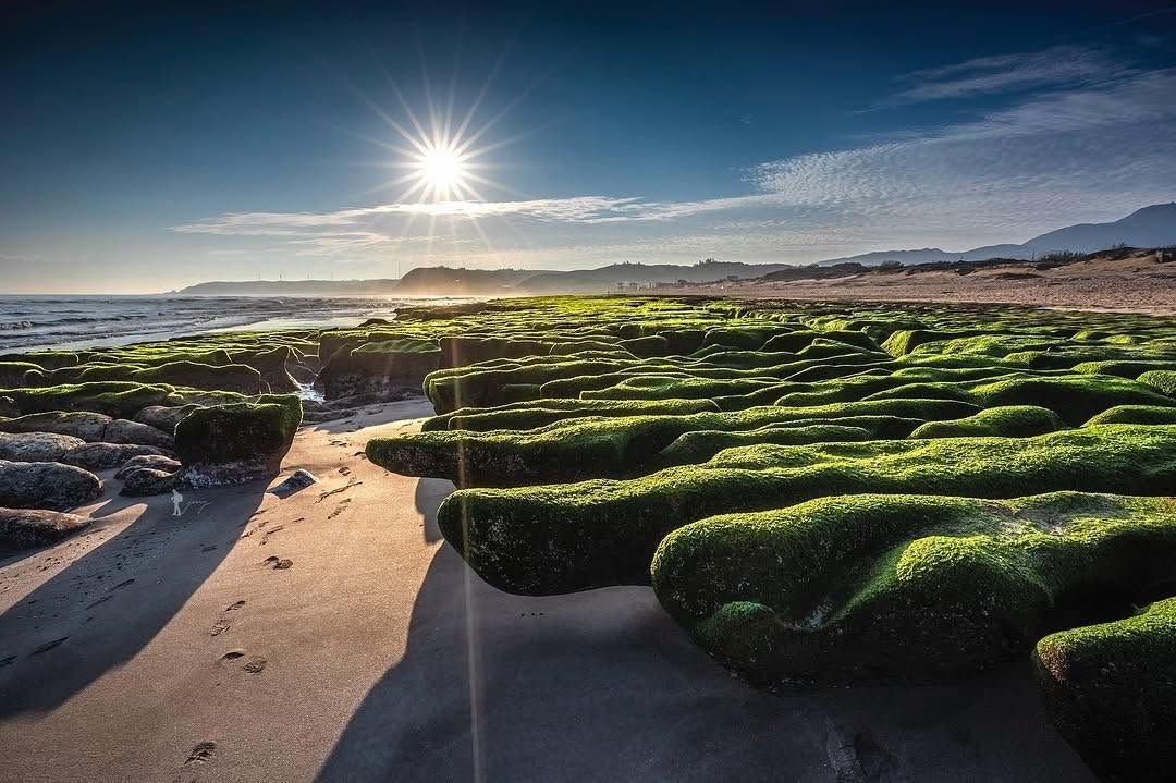 全台少見的特殊景觀！石門的 #老梅綠石槽 季節又到了～