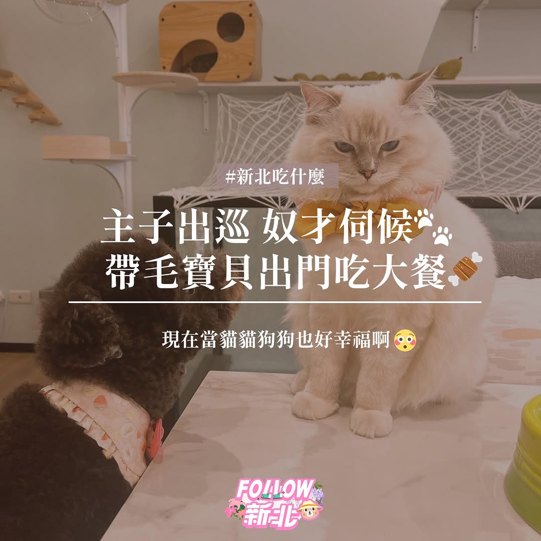 主子出巡，奴才伺候！