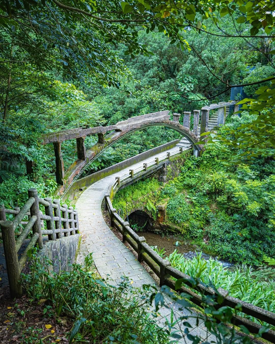 走進金瓜石的山林中，會遇見一座彷彿穿越時空的橋
