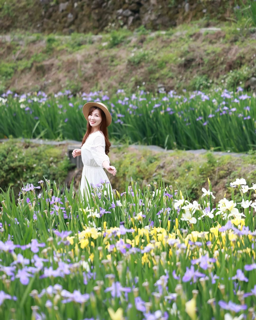 夏限定的秘境美景！石門嵩山梯田鋪展出夢幻鳶尾花海