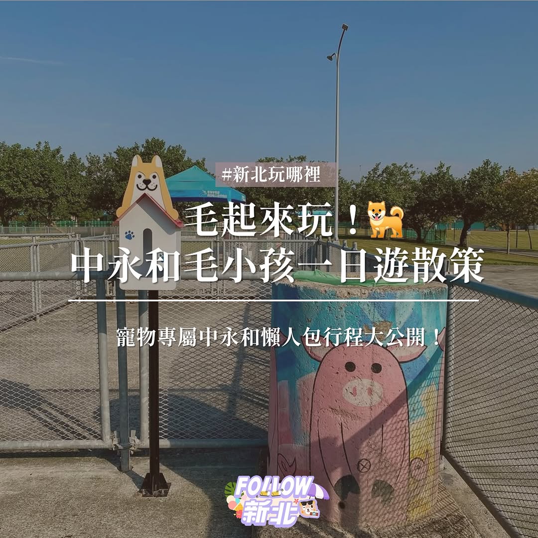 #牠不會說話 但總是用眼神問：「今天要去哪？」