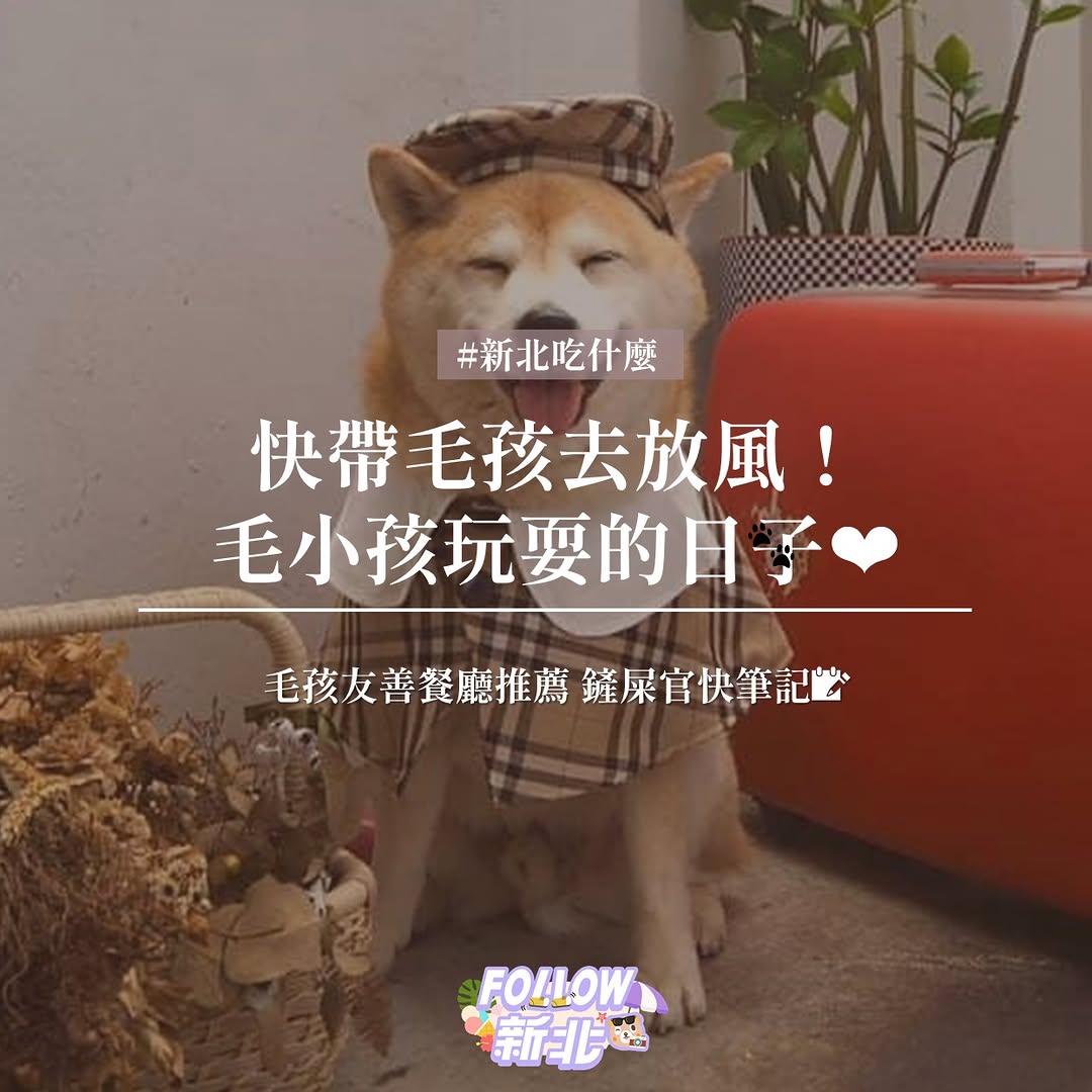 #帶毛孩出們遛遛吧!