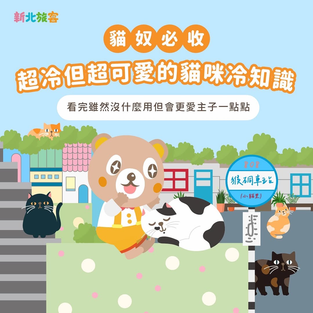 #明天是国际猫咪日特辑  #小客也想当猫奴