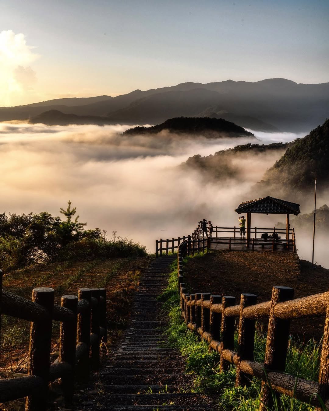 走進南山寺茶園，綠意茶香就在眼前