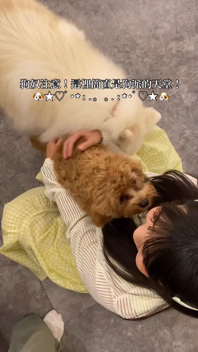 #新北狗派必去咖啡廳就在三重! 