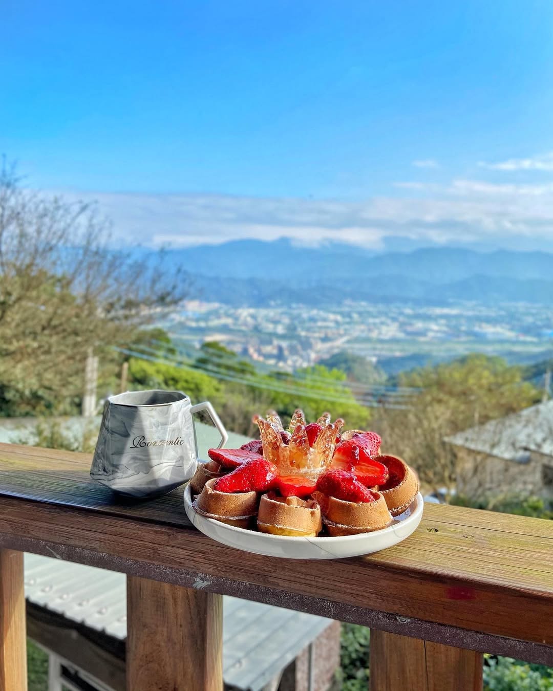 藏身在樹林山腰的景觀咖啡廳