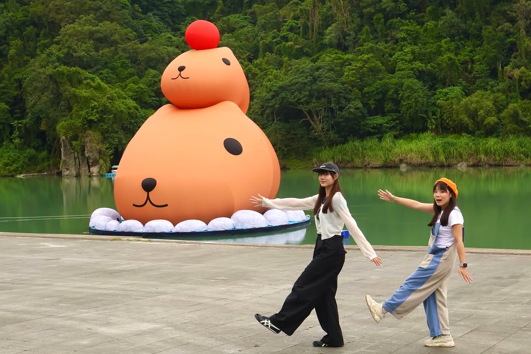 【碧潭地景裝置展】#水豚君的粉絲注意