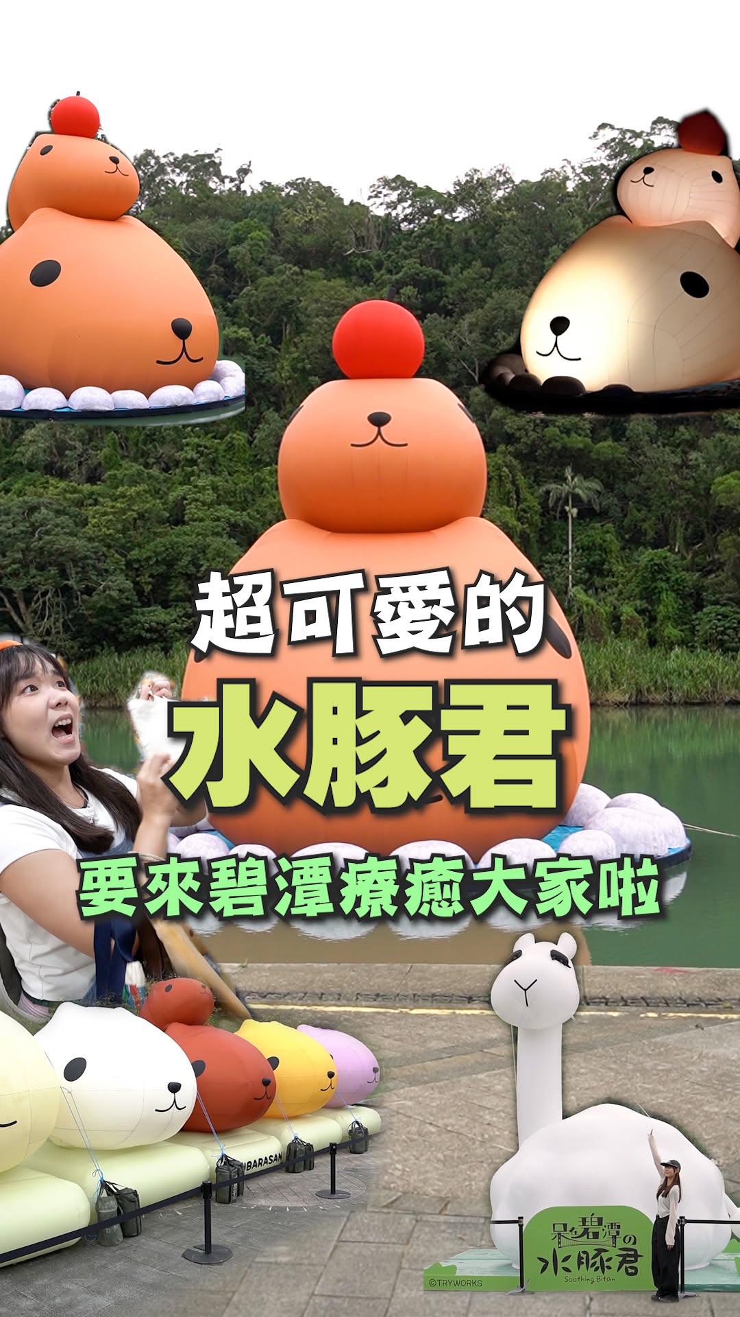 #水豚君來碧潭啦