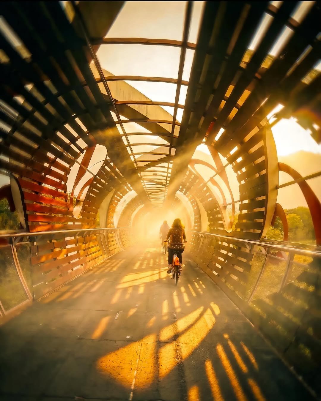 穿越時空的龍身光雕，走進神祕的科技感隧道