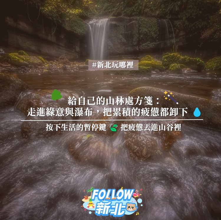 #芬多精森林系私房名單 
