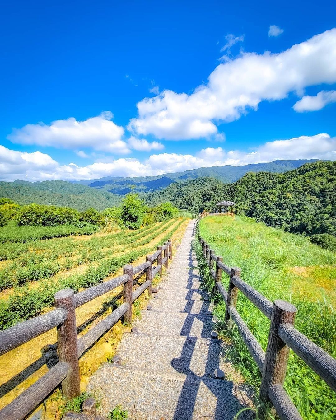 最直得欣賞的風景，是自己奮鬥的足跡 