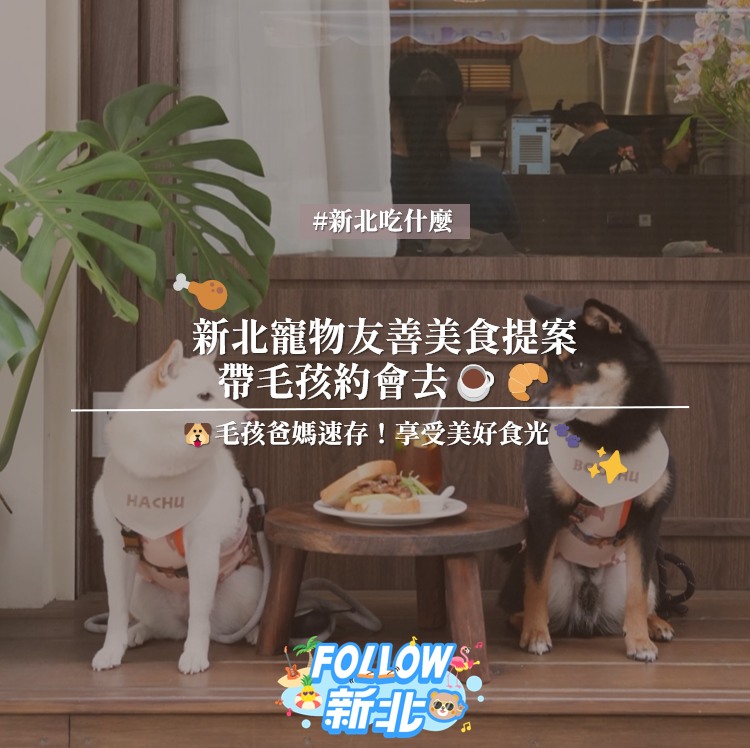 #新北寵物友善特輯 