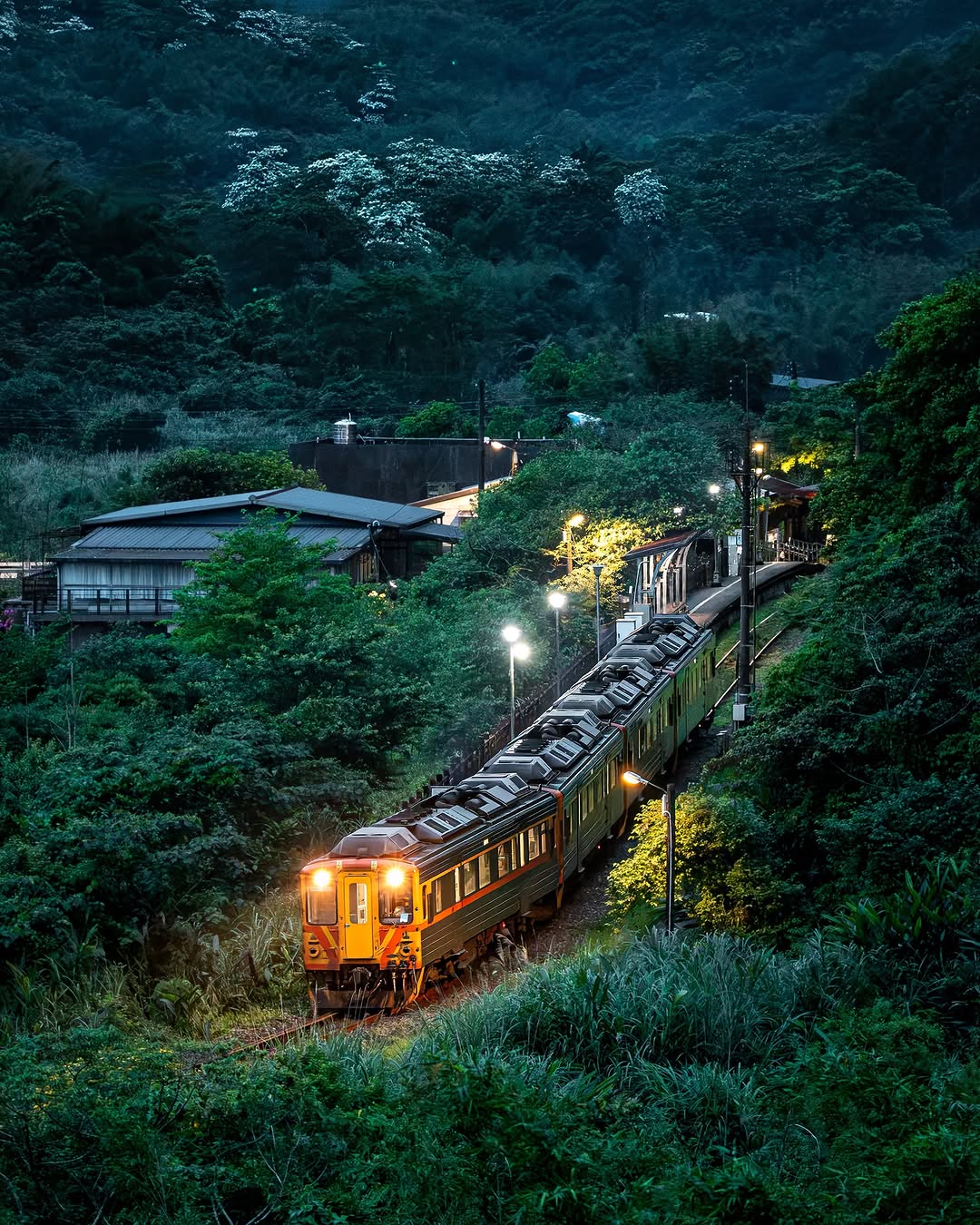夜幕悄悄降臨，一盞盞溫暖的路燈在深綠山林中亮起