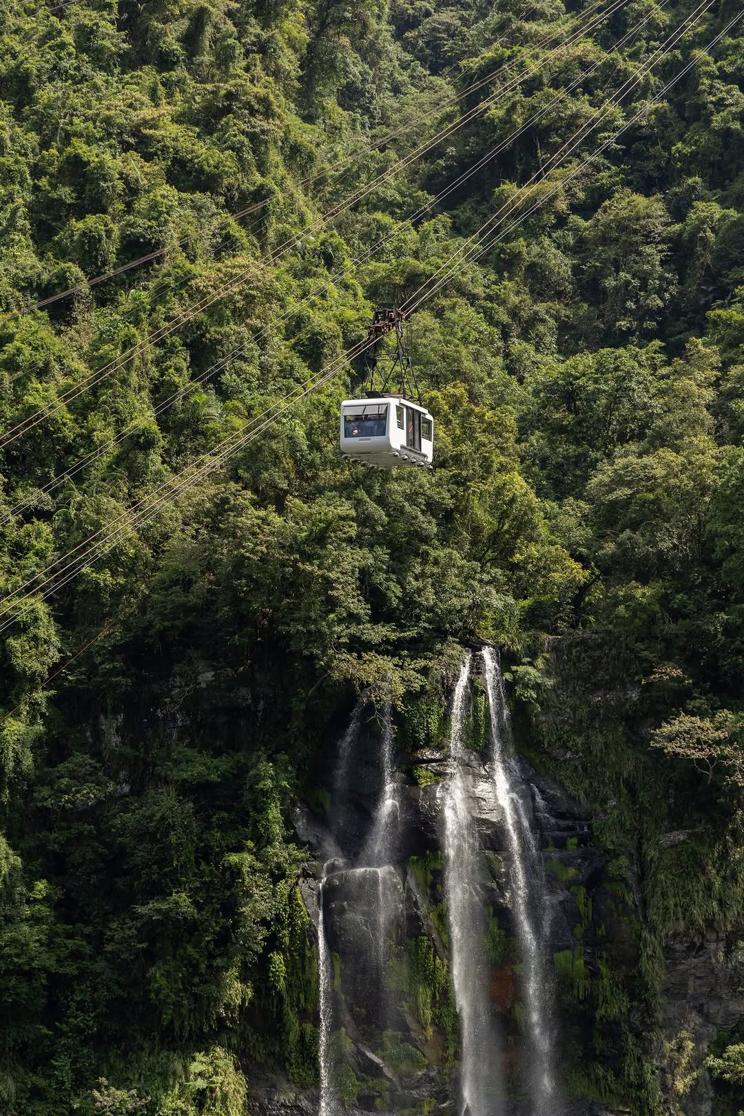 纜車穿梭於滿山翠綠之間，凌空越過烏來瀑布的壯麗水懸 
