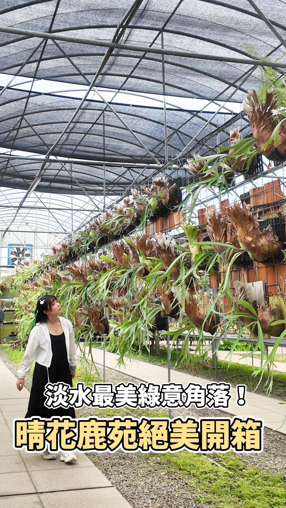  #隱藏在淡水的植物仙境！綠意系下午茶提案