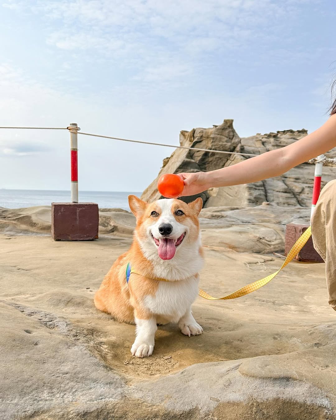 象鼻岩進化版登場!東北角的療癒景點~