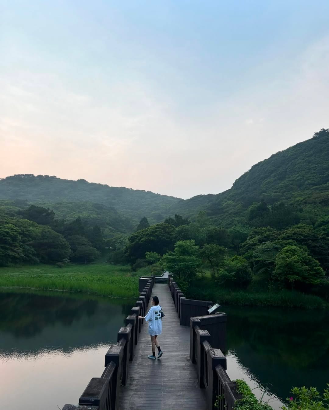新北最療癒的森林步道就在三芝