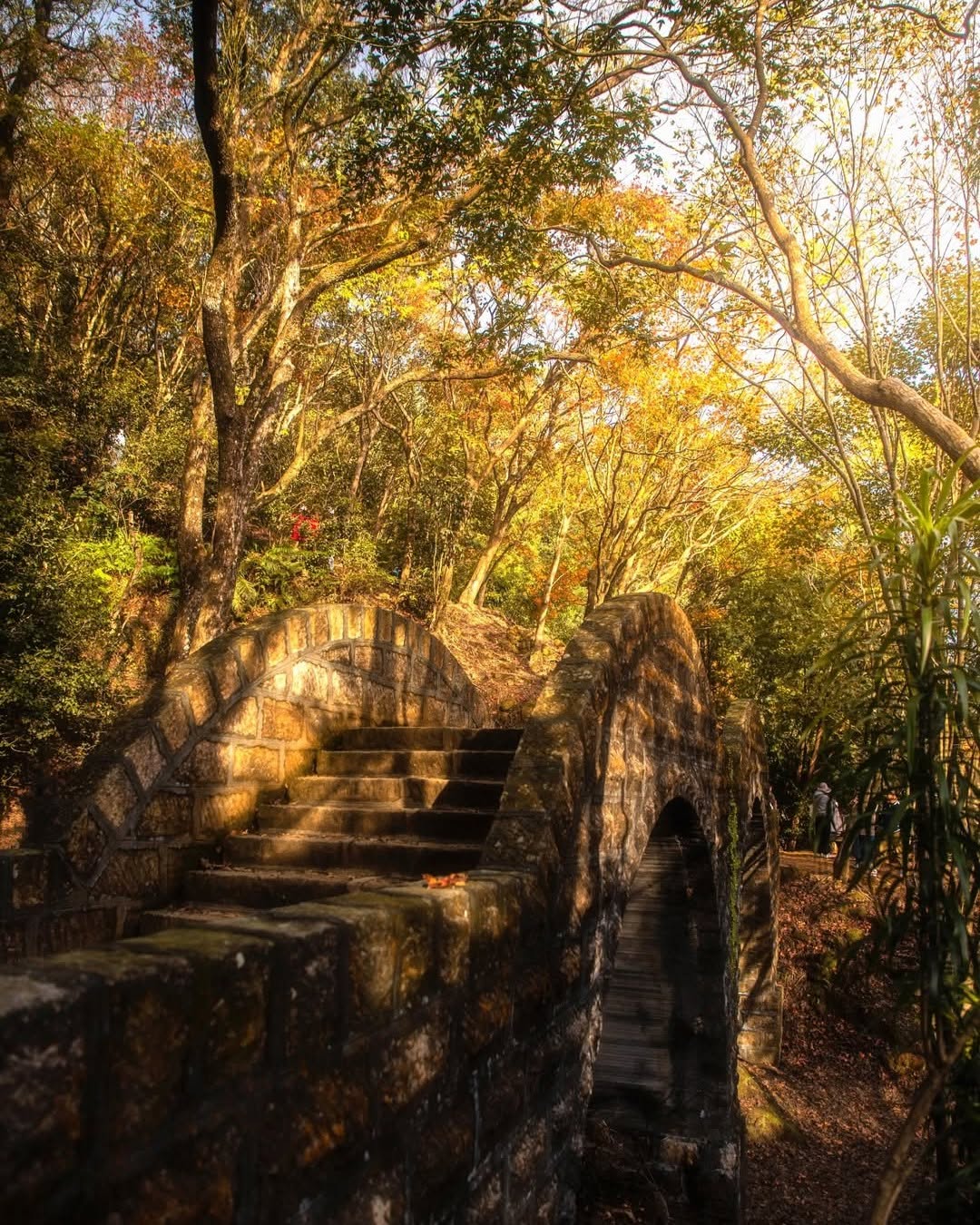 層層楓紅沿著山徑就在汐止拱北殿
