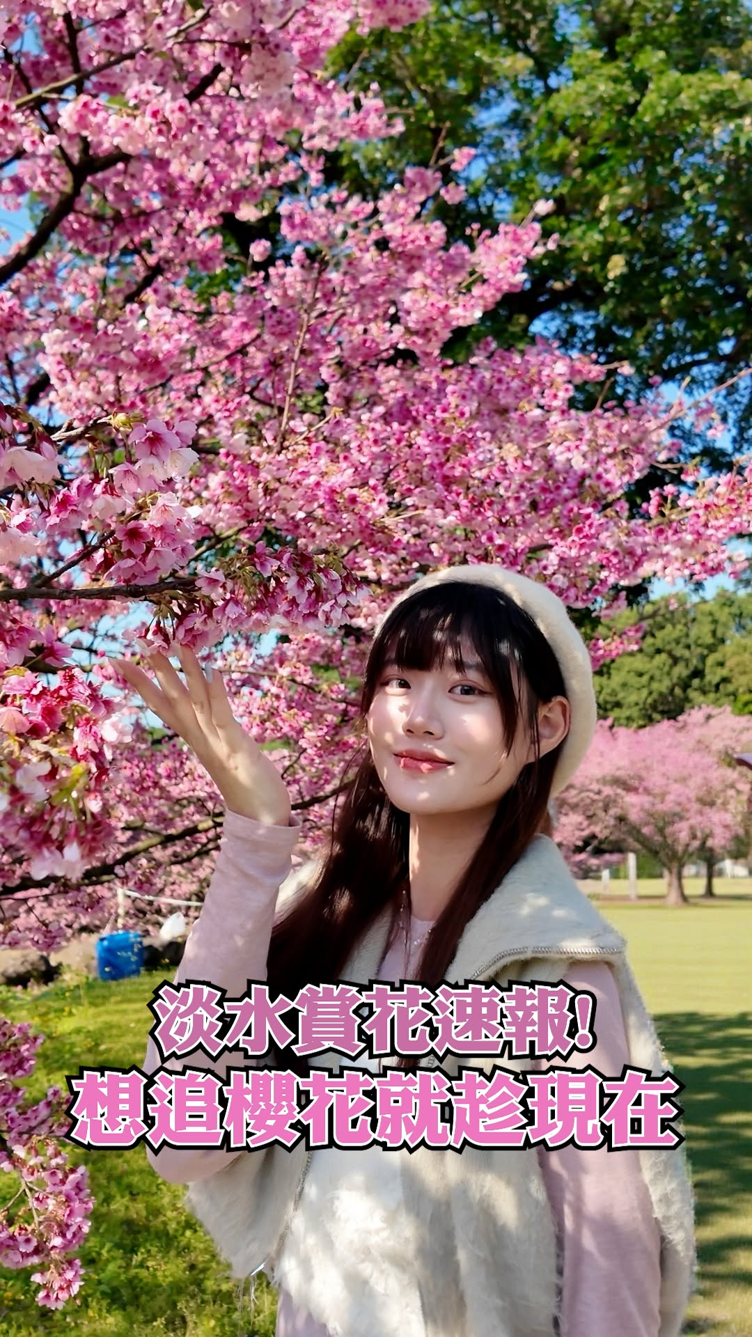 #淡水原來這麼美！天元宮後山櫻花滿開中