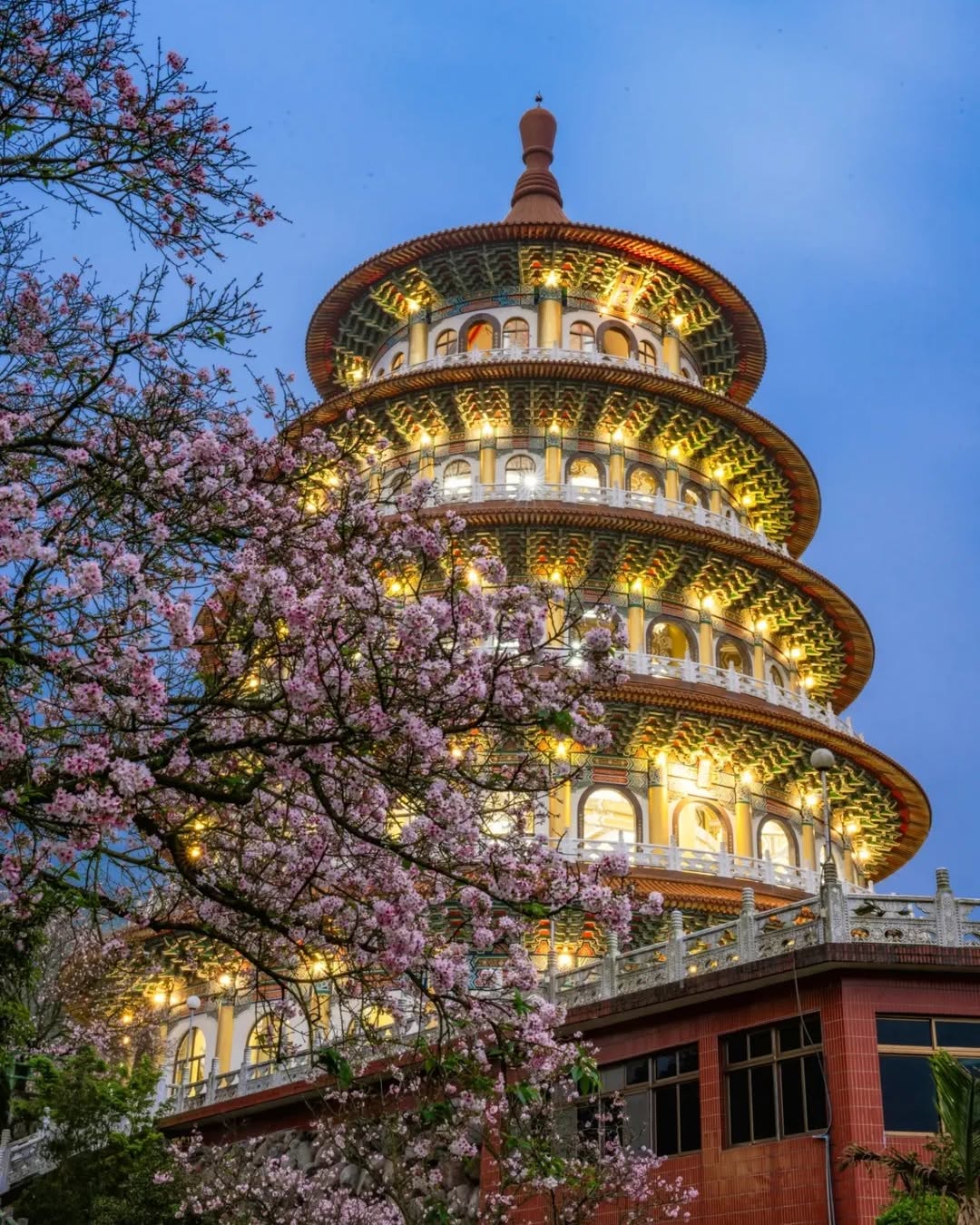 粉嫩的初春浪漫