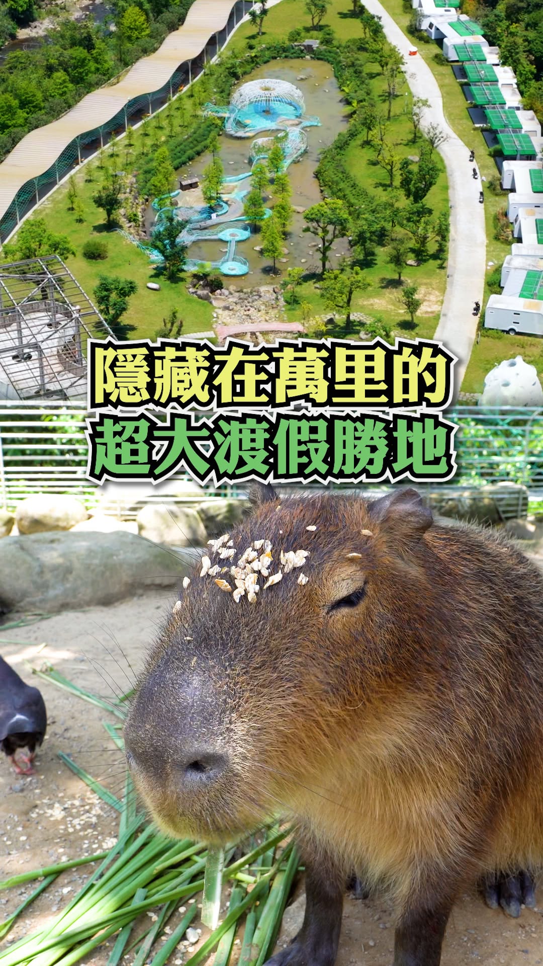 怎麼有整座 #森林度假村 藏在萬里！？