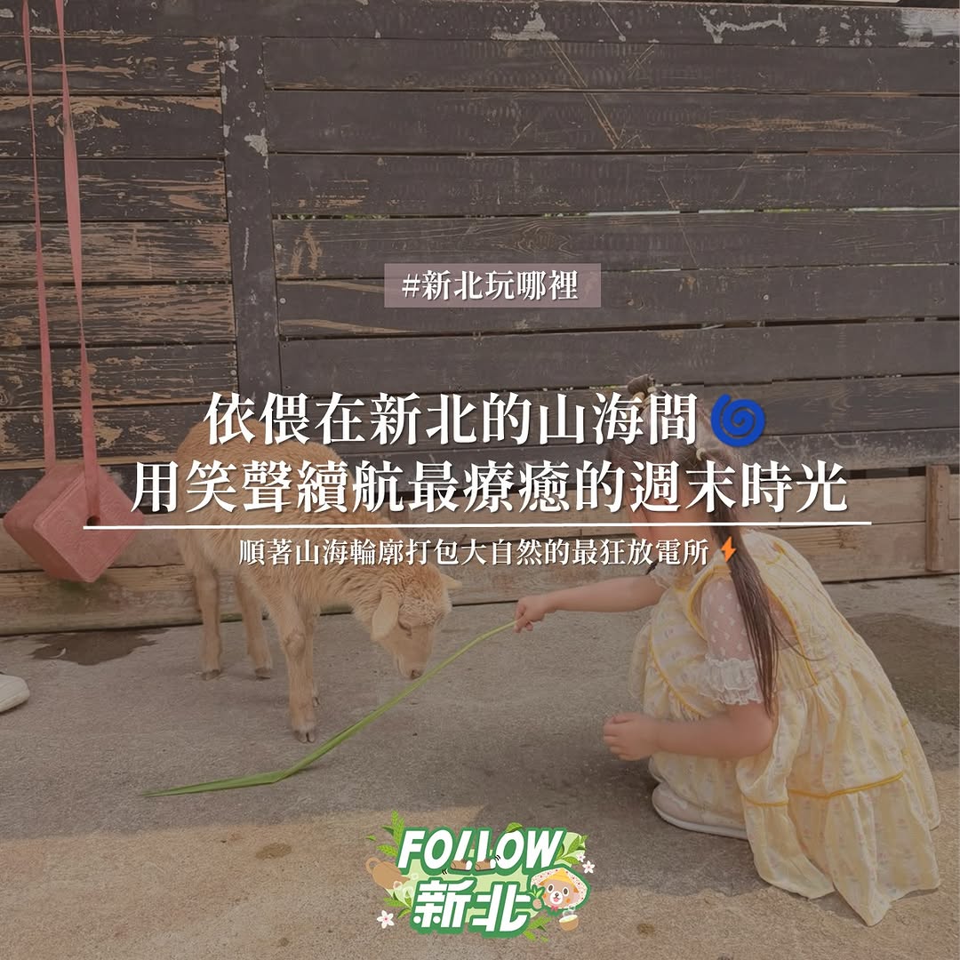#週末親子放電攻略 