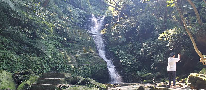 【汐止】大尖山步道及茄苳瀑布(櫻花與杜鵑花)